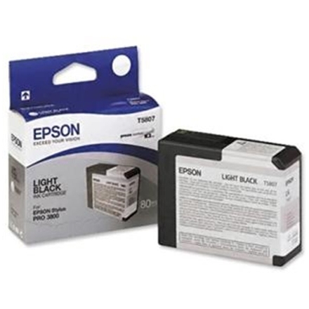 Epson T580 Light Black (80 ml), C13T580700 - originální