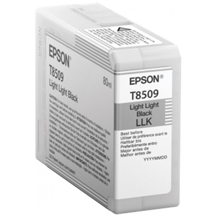 Epson Singlepack Photo Light Light Black T850900 UltraChrome HD ink 80ml, C13T850900 - originální