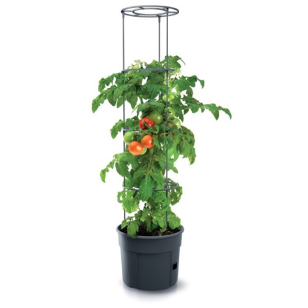Květináč Prosperplast TOMATO GROWER na pěstování rajčat 39,2 cm antracit, IPOM400-S433