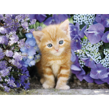 CLEMENTONI Puzzle Zrzavé kotě v květinách 500 dílků 111774