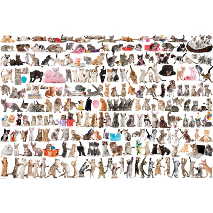 EUROGRAPHICS Puzzle Svět koček 2000 dílků 120145