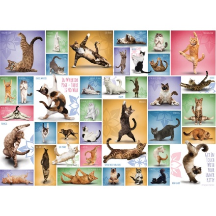 EUROGRAPHICS Puzzle Kočičí jóga 1000 dílků 120192