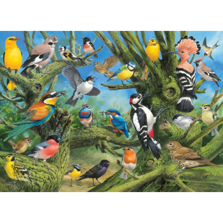 EUROGRAPHICS Puzzle Ptáci v zahradě 1000 dílků 120197