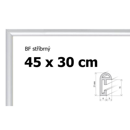 BFHM Plastový rám 45x30cm - stříbrný 123071