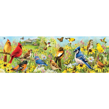 EUROGRAPHICS Panoramatické puzzle Zahradní ptáci 1000 dílků 123586