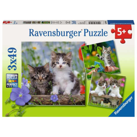 RAVENSBURGER Puzzle Koťata 3x49 dílků 127211