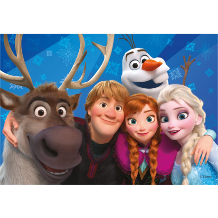 DINO Puzzle Ledové království: Selfie 24 dílků 130026