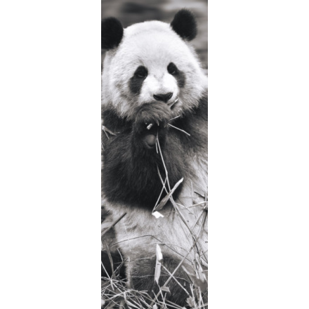 DINO Vertikální puzzle Panda v trávě 1000 dílků 136045