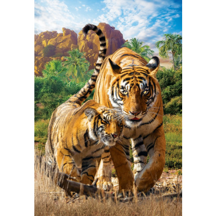 EUROGRAPHICS Puzzle Save Our Planet: Tygři XL 250 dílků 138471