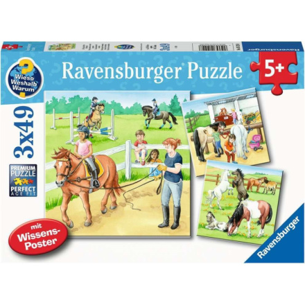 RAVENSBURGER Puzzle Den u koní 3x49 dílků 139035