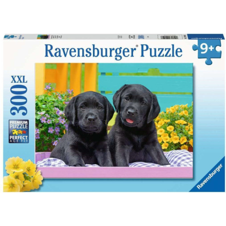 RAVENSBURGER Puzzle Černí labradoři XXL 300 dílků 139077