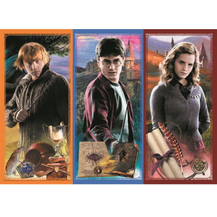 TREFL Puzzle Harry Potter: Ve světě magie a kouzel 200 dílků 140400