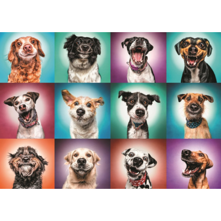 TREFL Puzzle Legrační portréty psů II, 2000 dílků 143102