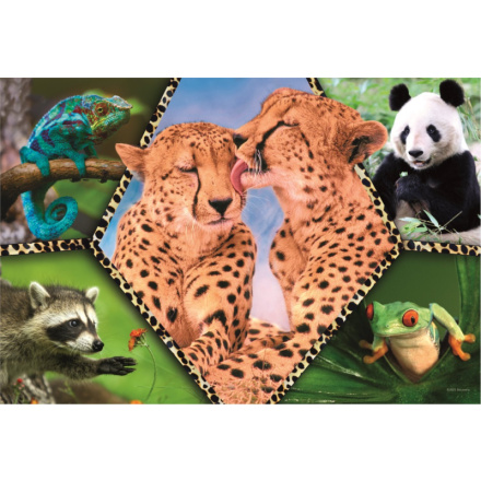 TREFL Puzzle Animal Planet: Krásná příroda 100 dílků 143533