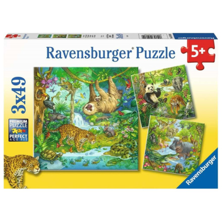 RAVENSBURGER Puzzle Zvířata v džungli 3x49 dílků 143554