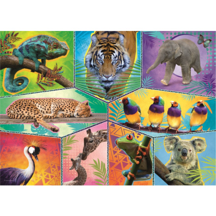 TREFL Puzzle Animal Planet: Svět exotických zvířat 200 dílků 143629