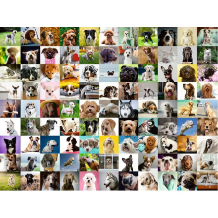 RAVENSBURGER Puzzle 99 roztomilých psů XL 750 dílků 146109