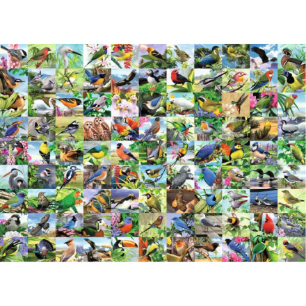 RAVENSBURGER Puzzle 99 úchvatných ptáků EXTRA 300 dílků 146366