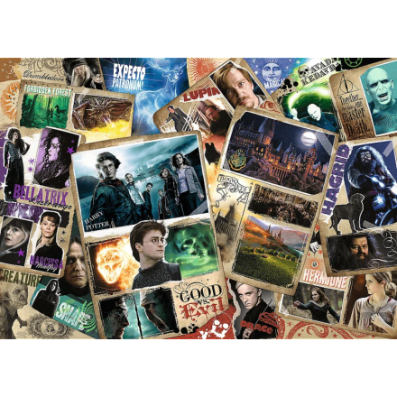 TREFL Puzzle Harry Potter: Postavy 2000 dílků 148505