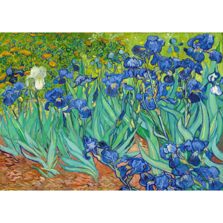 ENJOY Puzzle Vincent Van Gogh: Kosatce 1000 dílků 148666