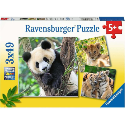 RAVENSBURGER Puzzle Panda, tygr a lev 3x49 dílků 151914
