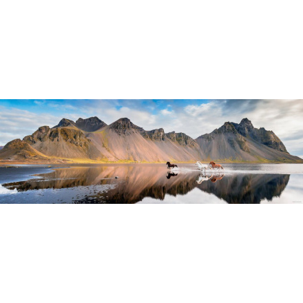 HEYE Panoramatické puzzle Koně Islandu 1000 dílků 155634