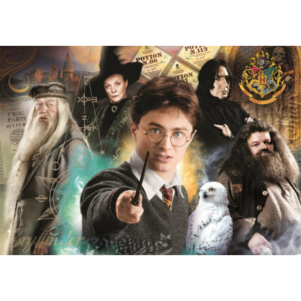 CLEMENTONI Puzzle Harry Potter: Učitelé 1000 dílků 158273