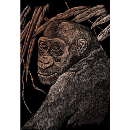 Měděný škrabací obrázek Opice 19794