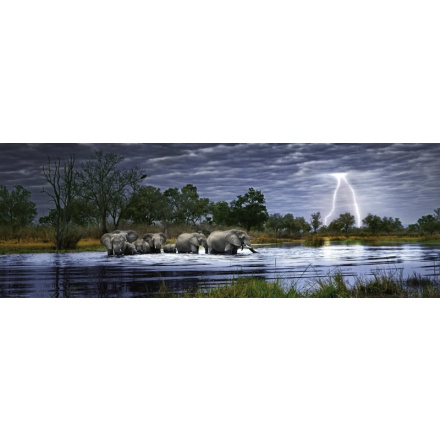 HEYE Panoramatické puzzle Sloní stádo (Botswana) 2000 dílků 4089