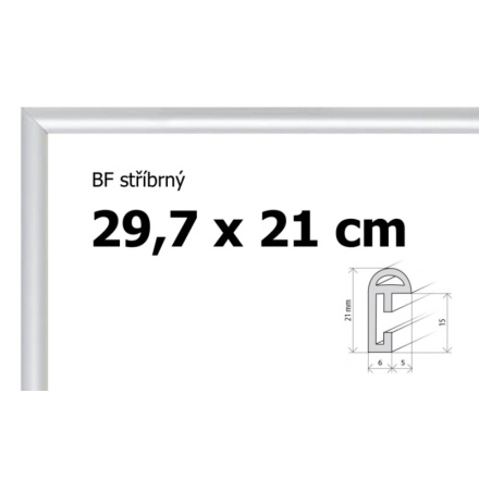 BFHM Plastový rám 29,7x21cm A4 - stříbrný 6855