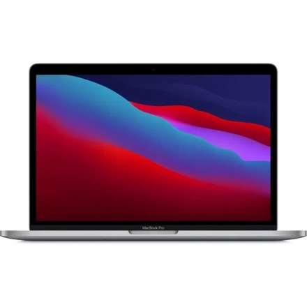 Apple MacBook Pro/M1/13,3"/2560x1600/8GB/256GB SSD/M1/Big Sur/Space Gray/1R, MYD82CZ/A