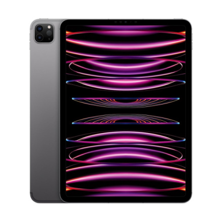 Apple iPad Pro 11"/WiFi + Cell/11"/2388x1668/16GB/1TB/iPadOS16/Space Gray, MNYJ3FD/A