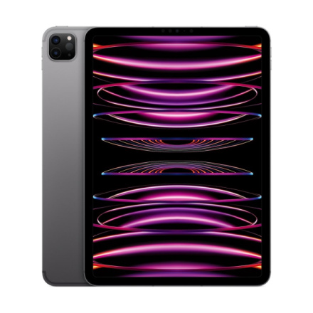 Apple iPad Pro 11"/WiFi + Cell/11"/2388x1668/16GB/2TB/iPadOS16/Space Gray, MNYL3FD/A