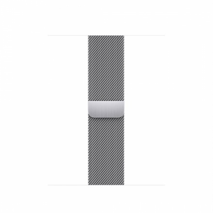 APPLE Watch Acc/45/Silver Milanese Loop, ML783ZM/A