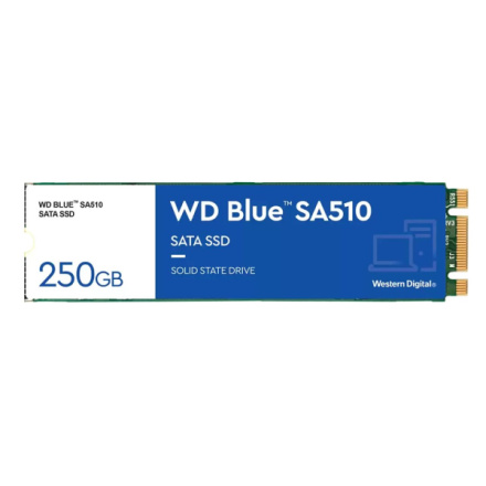 WESTERN DIGITAL WD Blue SA510/250GB/SSD/M.2 SATA/5R, WDS250G3B0B