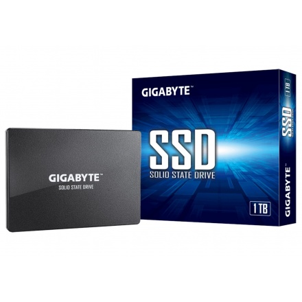 GIGABYTE SSD 1TB, GP-GSTFS31100TNTD