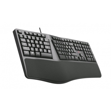 Klávesnice C-TECH KB-113E USB, ERGO,  černá, CZ/SK, KB-113E