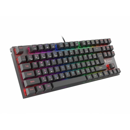 Genesis herní mechanická klávesnice THOR 300/RGB/Outemu Red/Drátová USB/CZ/SK layout/Černá, NKG-1819
