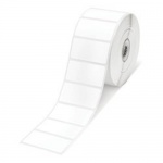 Epson High Gloss Label - Die-cut Roll, 76x51,610ks, C33S045542 white