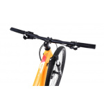 Horské jízdní kolo Capriolo MTB AL-PHA 9,4 29"/17" žluté, 923204-17 2022