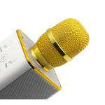 Karaoke set Technaxx BT-X31 - bluetooth karaoke mikrofon se stereo reproduktorem, TX0356