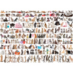 EUROGRAPHICS Puzzle Svět koček 1000 dílků 120169
