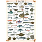 EUROGRAPHICS Puzzle Mořské ryby 1000 dílků 5558