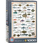 EUROGRAPHICS Puzzle Mořské ryby 1000 dílků 5558