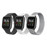 iGET FIT F3 Silver - chytrý náramek, IP68, Multisport, LCD 1.3", 220mAh, 3x řemínek!, F3 Silver